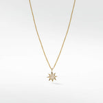 Star Diamond PavŽ Pendant in 14K Gold - Lark and Berry