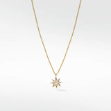 Star Diamond PavŽ Pendant in 14K Gold - Lark and Berry