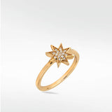 Star Diamond PavŽ Ring in 14K Gold - Lark and Berry