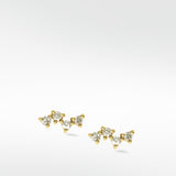Galactic Cluster Gold Studs